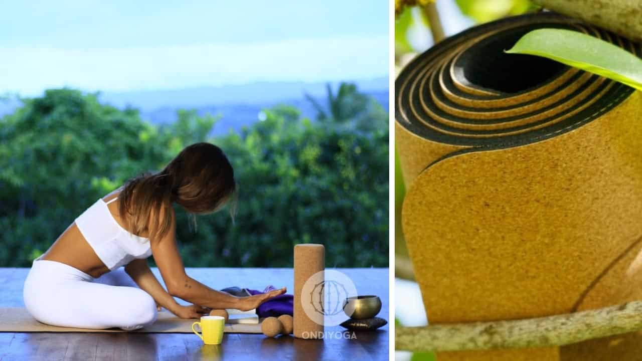 Where to buy yoga mat in Las Terrenas?